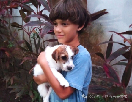 2月24日，在巴西影片《我仍在此》（Ainda Estou Aqui）中飾演男主角一家的寵物狗皮芒（Pimão）獲英國Fido獎銀幕最神奇小狗獎項。