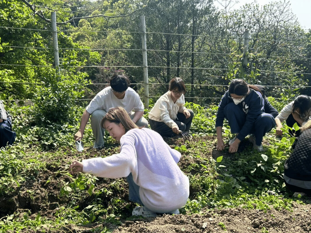 為落實大學社會責任（USR），南華大學科技學院於113學年度第二學期開設特色通識課程