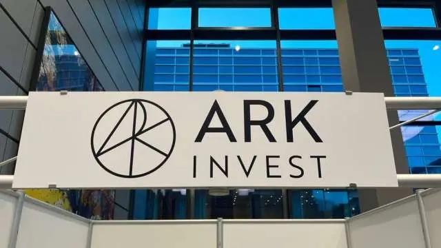 ARK木頭姐揭示地表最大AI計畫是特斯拉、穩定幣持續升溫圖:/shutterstock