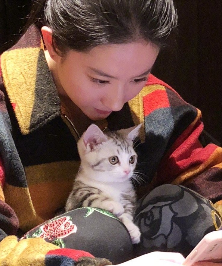 劉亦菲在社群平臺曝光一系列家居日常照，引發網友熱烈討論。圖/取自微信