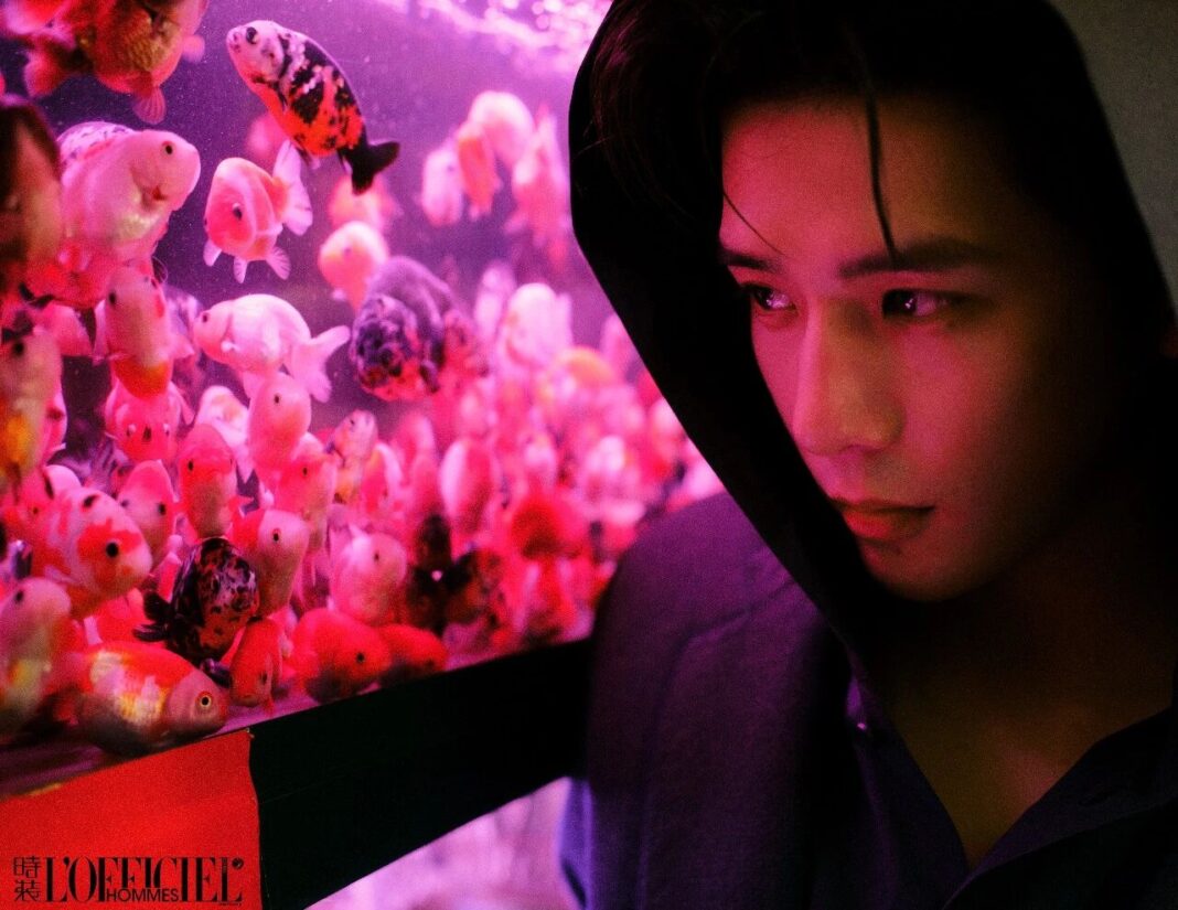 中國藝人王安宇。圖/取自微信