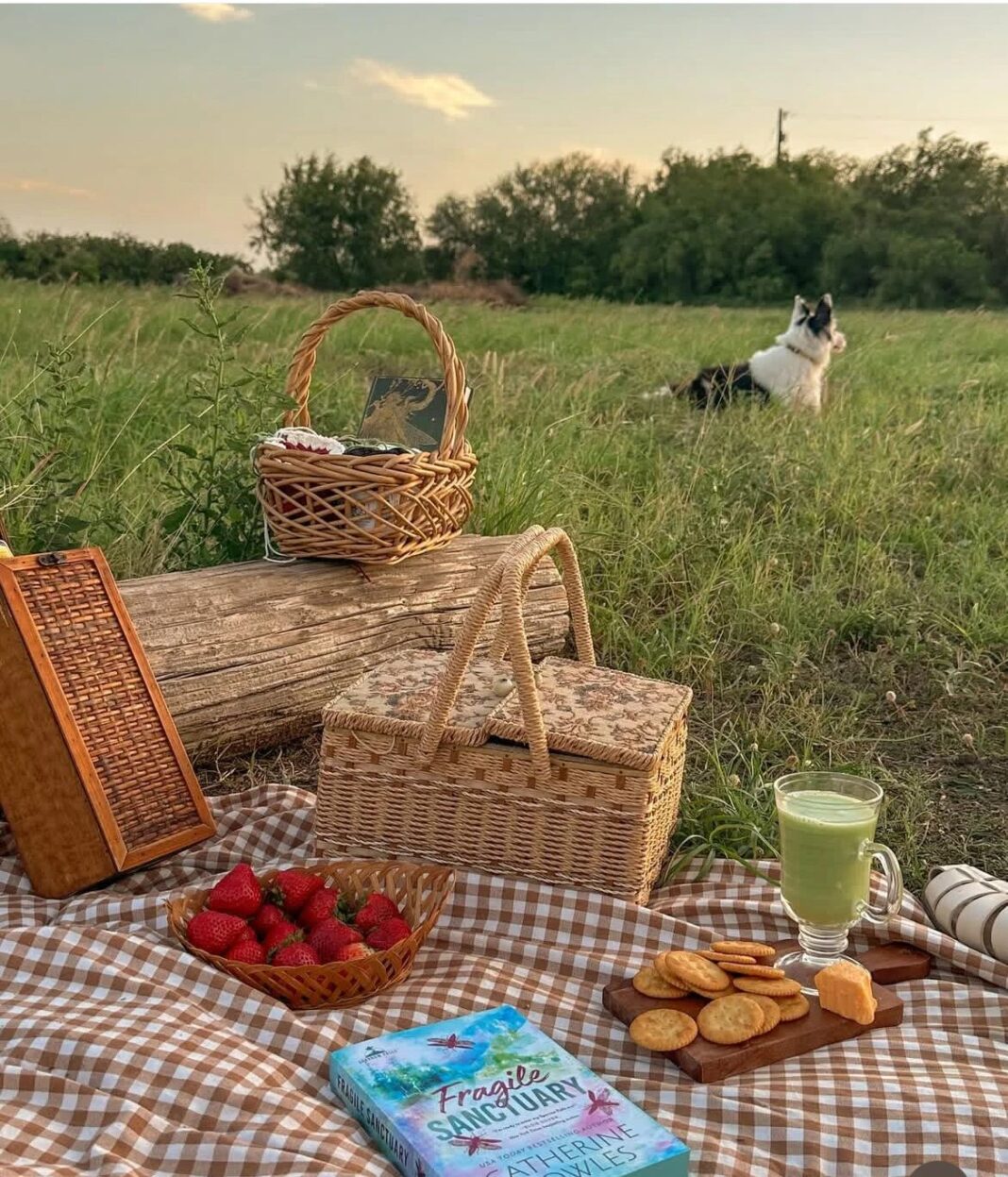 13本書打造療癒小宅　美國德州28歲書迷把家變「閱讀角落博物館」。圖/取自微信