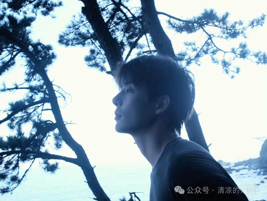 王安宇出任CELINE品牌大使　時尚版圖再升級引發熱議。圖/取自王安宇新浪WB