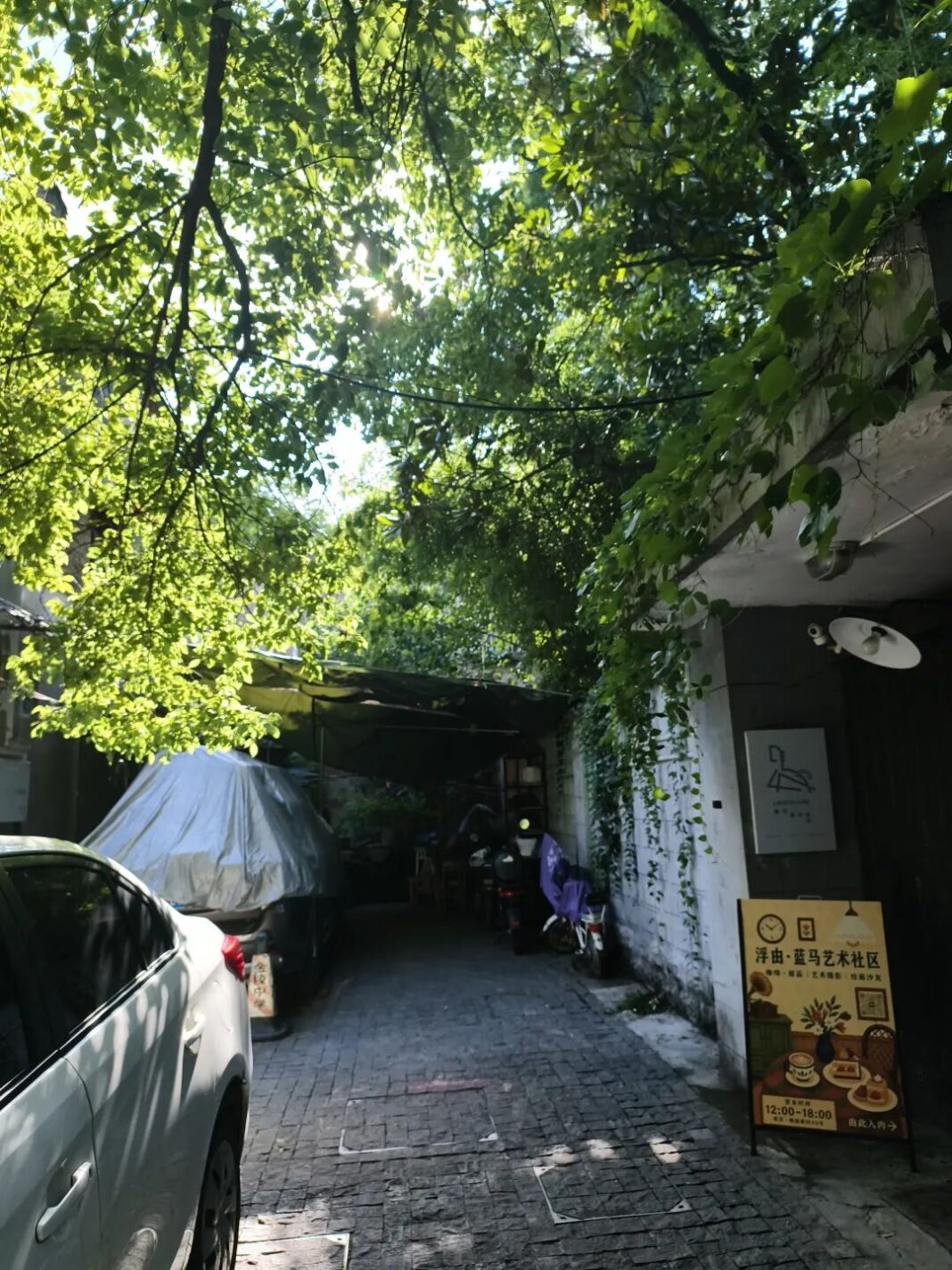 深巷裡藏著一座「藝術咖啡館」！走進梅園新村像闖入油畫　咖啡、甜點與白茶療癒午後。圖/取自微信